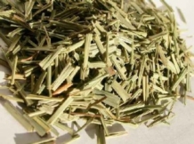 Cymbopogon Citratus (Lemongrass)
